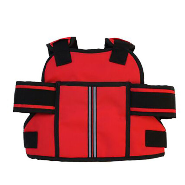 Kid's Motorcycle Safety Vest - Image 5